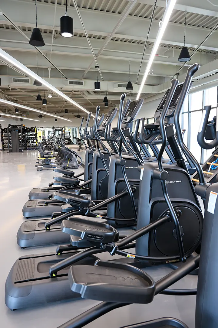 Rows of nordic track style walking machines