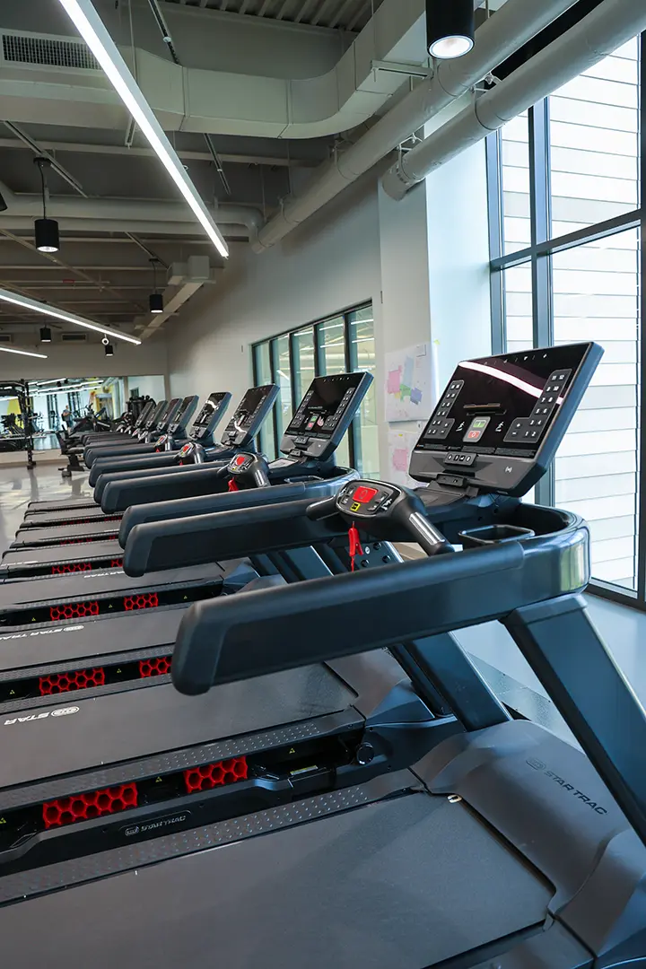 Rows of treadmills